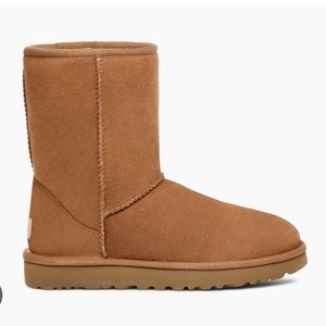 Ugg classic short II in chestnut